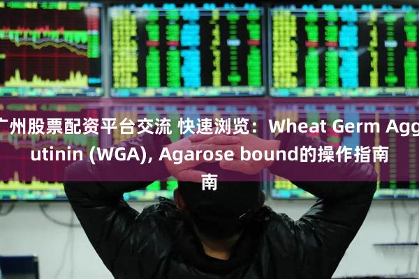 广州股票配资平台交流 快速浏览：Wheat Germ Agglutinin (WGA), Agarose bound的操作指南